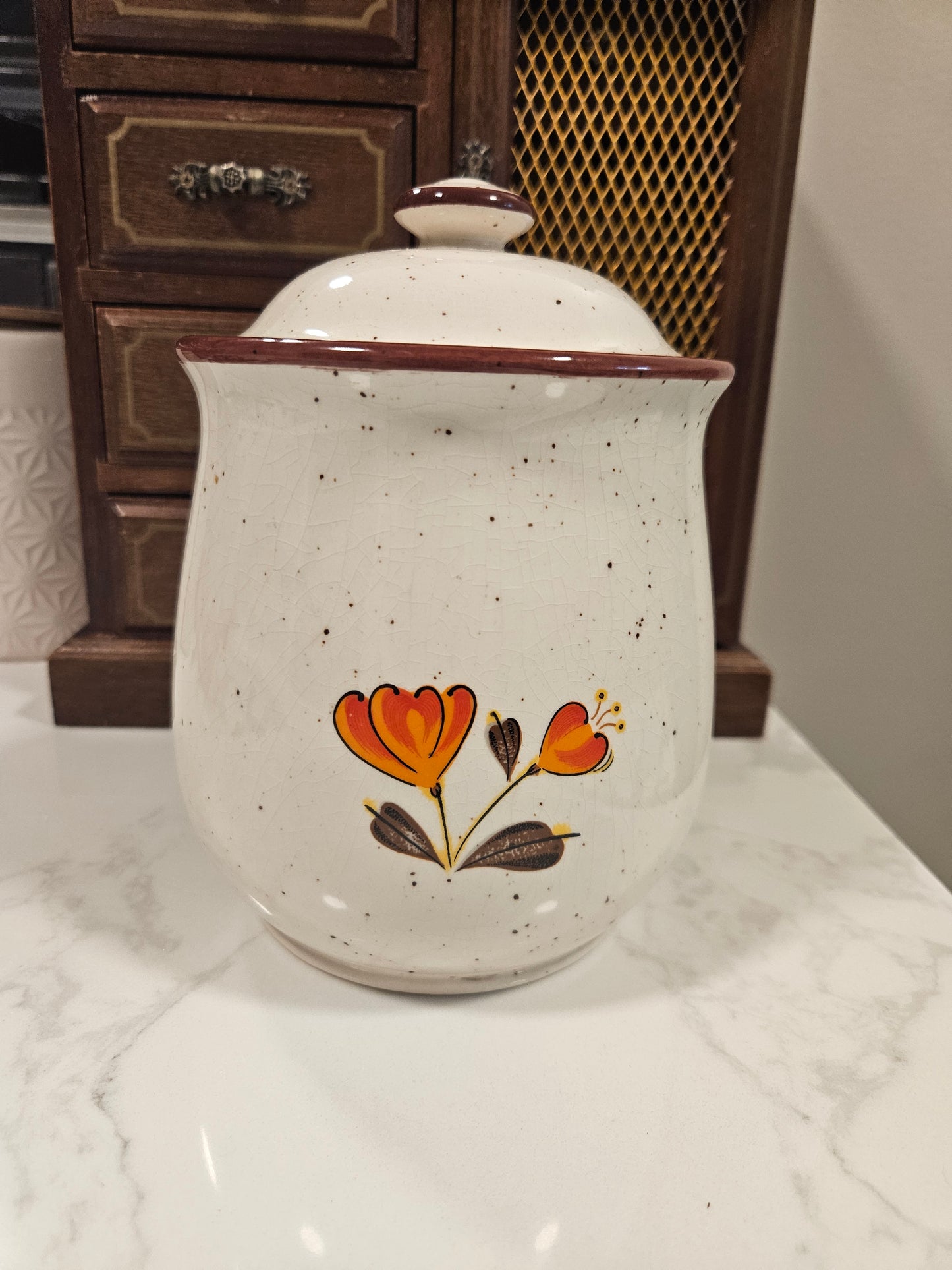 Vintage Momoyama "Valencia Poppy" Stoneware Canister