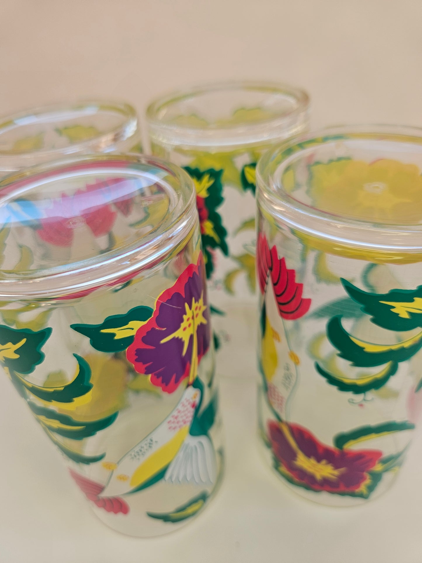Vintage Drinking Tumblers | Hummingbird Tropics, 4pc